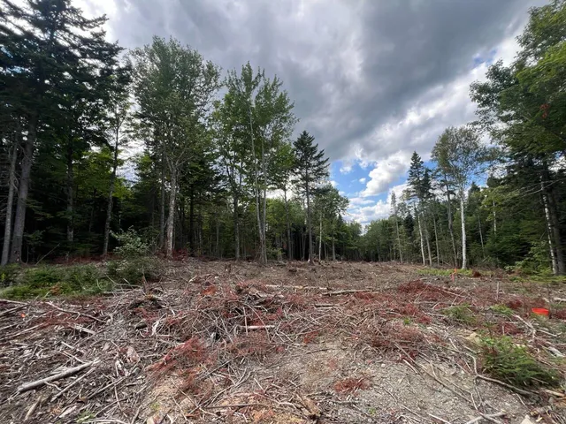 $449,000 | M12-41-123 Taylor Farm Road, Rangeley, ME 04970