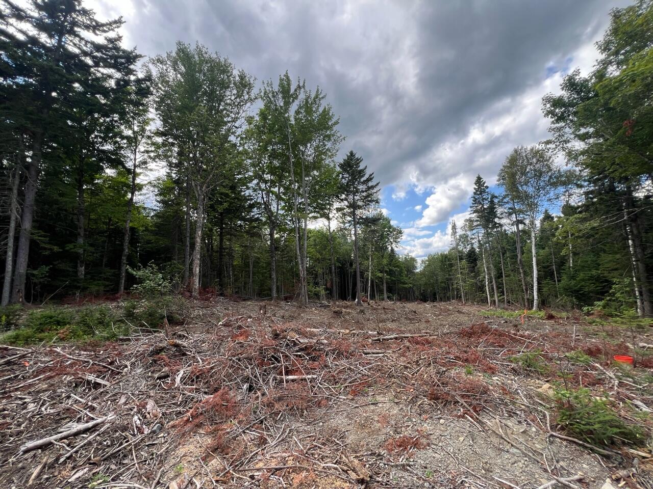 M12-41-123 Taylor Farm Road Rangeley, ME 04970 - Photo 3 of 13 Commercially Zoned