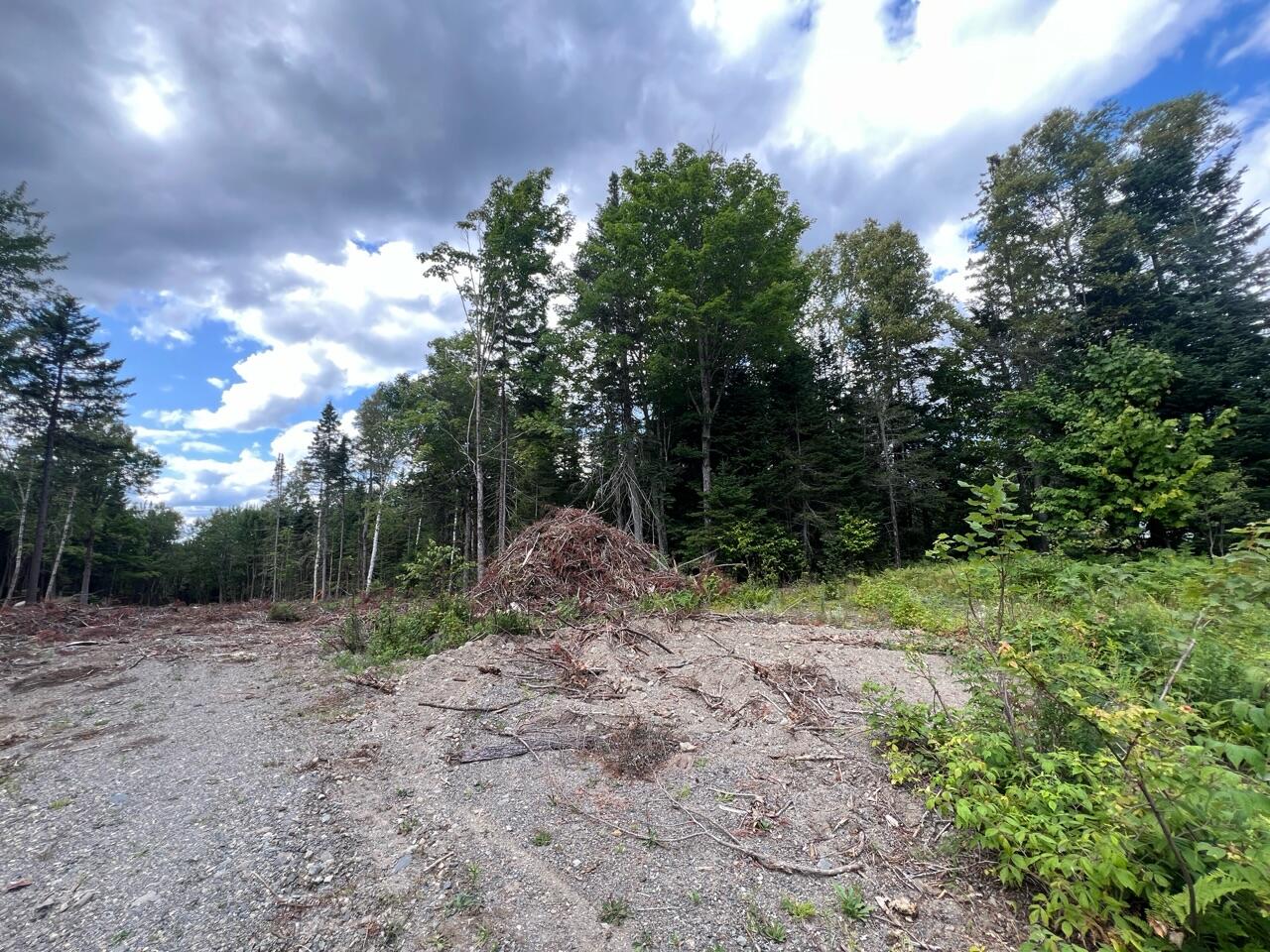 M12-41-123 Taylor Farm Road Rangeley, ME 04970 - Photo 4 of 13 Dead End Road