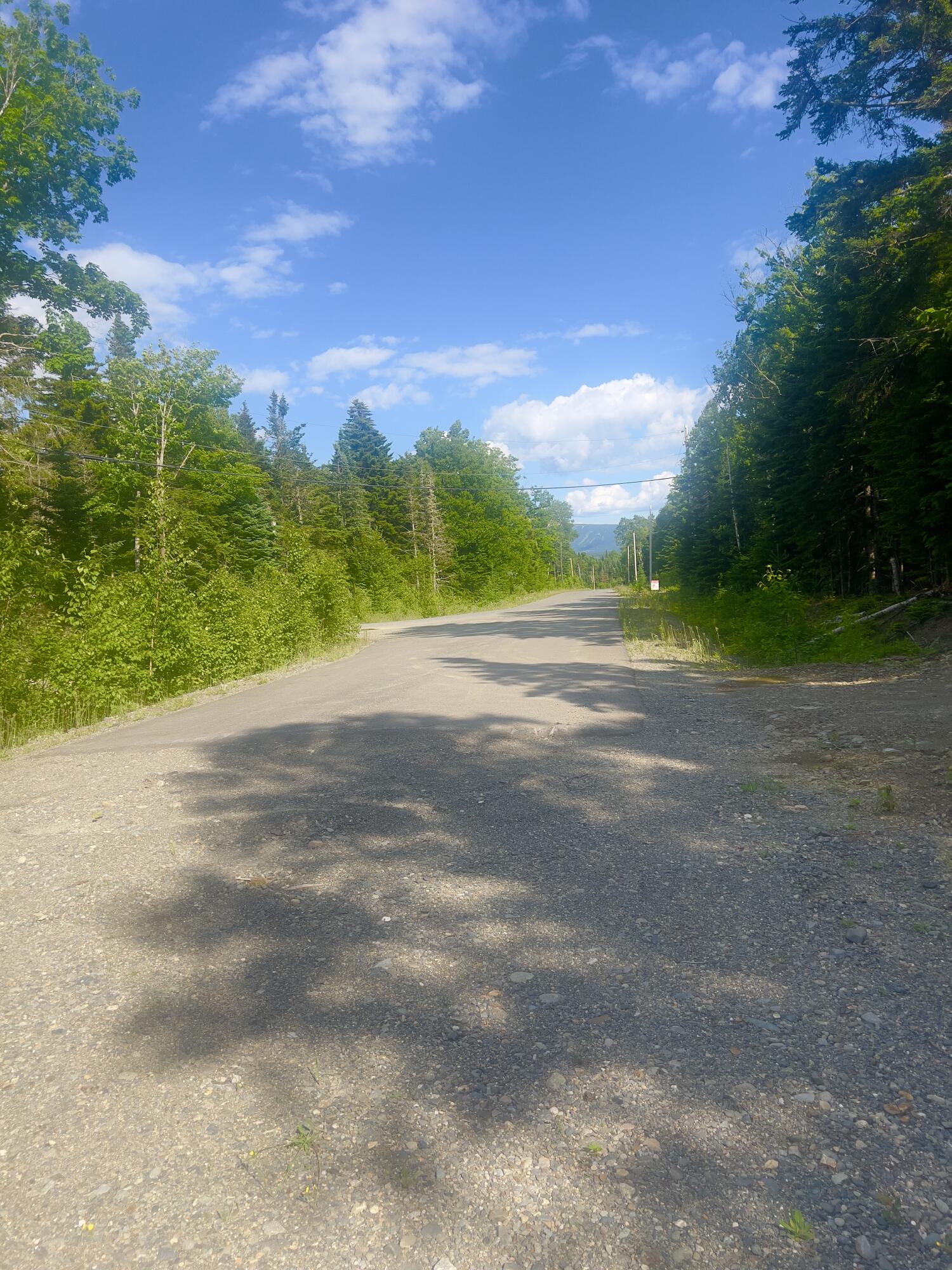 M12-41-123 Taylor Farm Road Rangeley, ME 04970 - Photo 9 of 13 Gravel Entrance