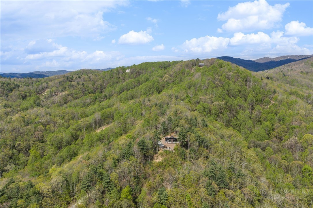 919 Lost Ridge Road Lenoir, NC 28645 - Photo 36 of 40