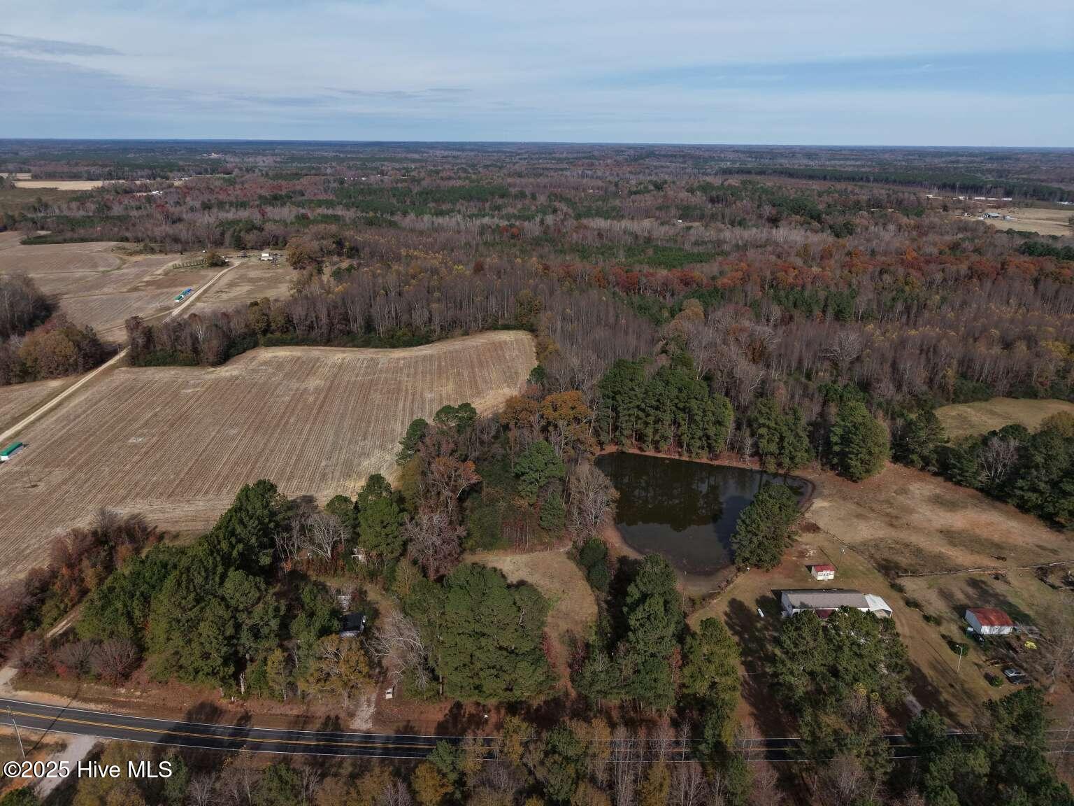 1824 Nick Coley Road Whitakers, NC 27891 - Photo 3 of 10 Arkfeld.3