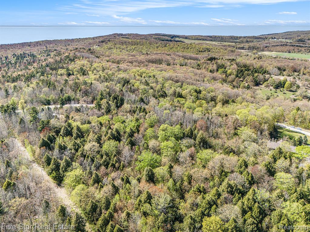 0 Smith Road Onekama, MI 49675 - Photo 6 of 23