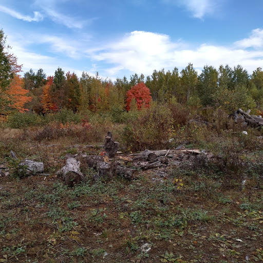 43 Ringwood Road Palmyra, ME 04965 - Photo 7 of 11 Field area