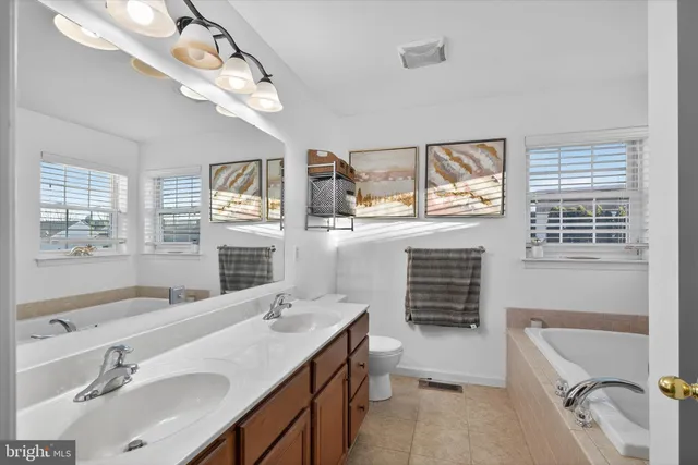 a bathroom with a sink mirror double vanity and a bathtub