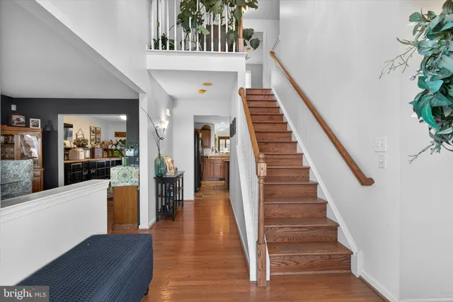 a view of staircase with lots of frames on wall and a potted plant