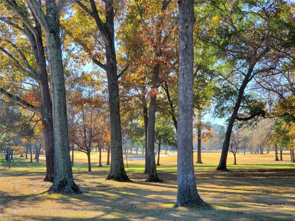 12900 Walden Road, Unit 312C Montgomery, TX 77356 - Photo 24 of 26 Golf Course in the Fall