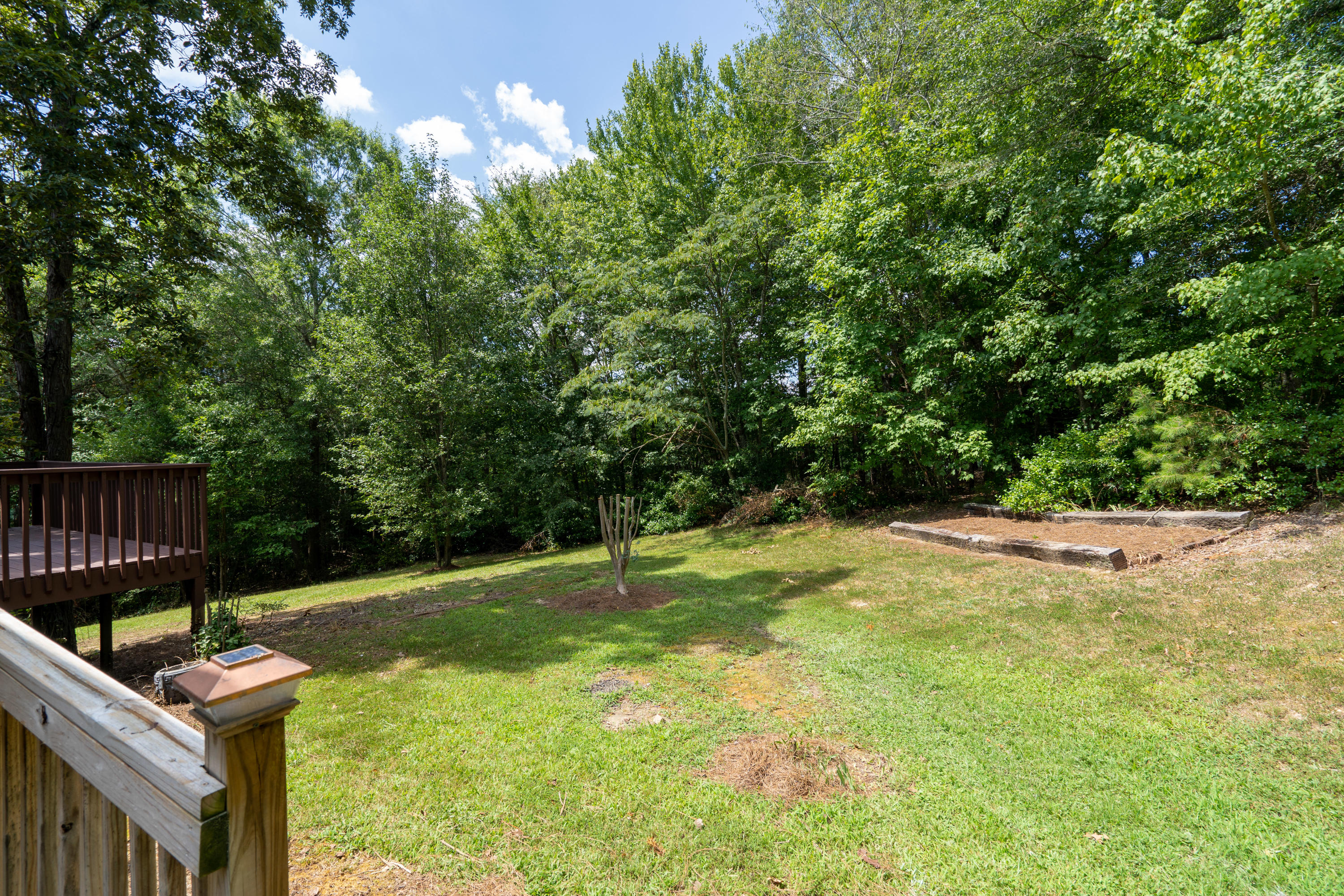 67 Trinity Lane Rock Spring, GA 30739 - Photo 48 of 52 Back Yard