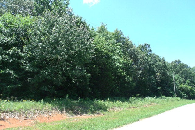 Tract A Steam Mill Road Smiths Grove, KY 42171 - Photo 5 of 6 Gallery Image 5