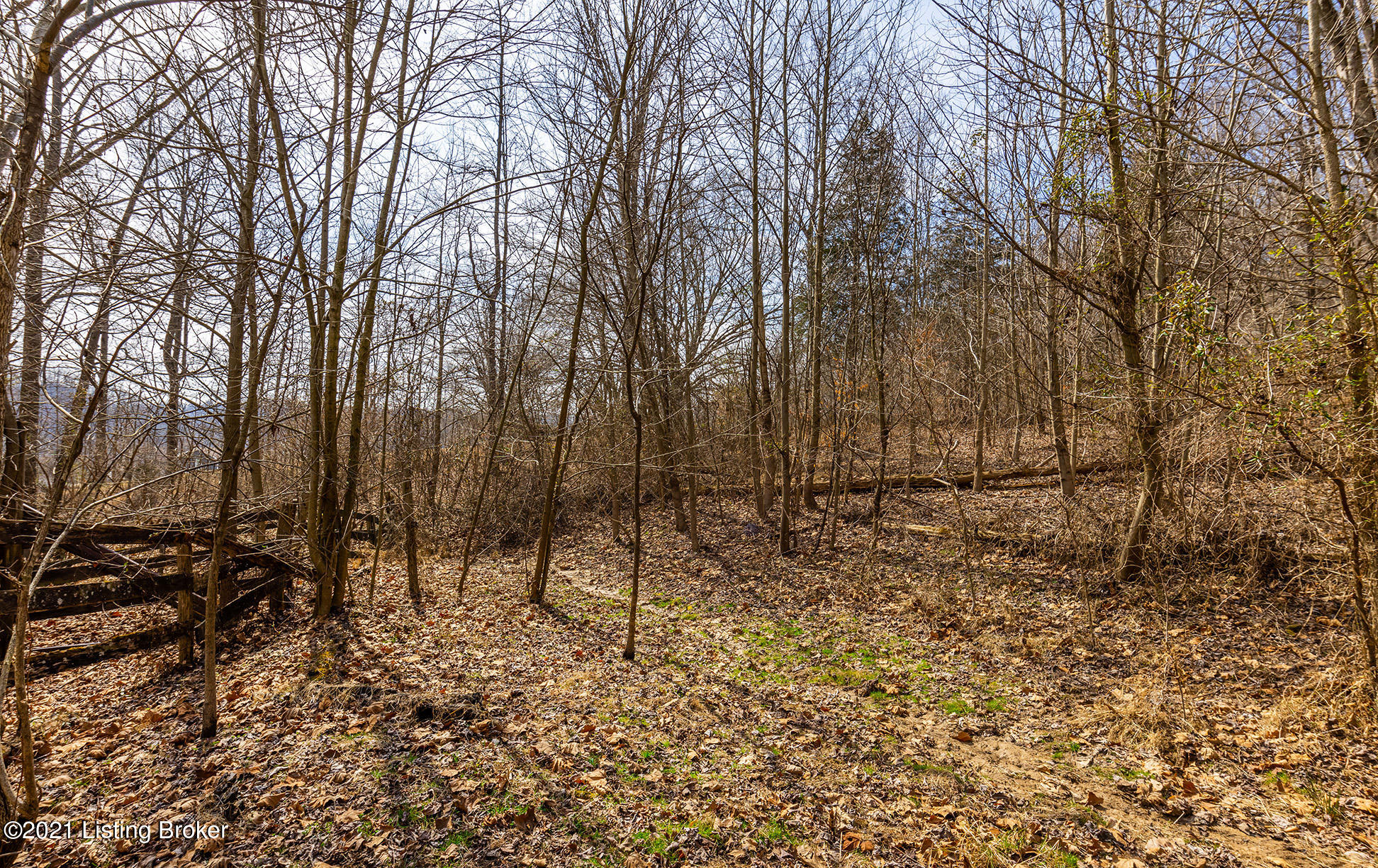4133 Knob Creek Road Brooks, KY 40109 - Photo 46 of 64 4133-Knob-Creek-Rd-20210311-053