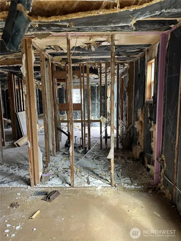 a view of backyard of house