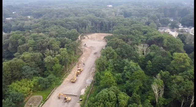 a view of a yard with a plants