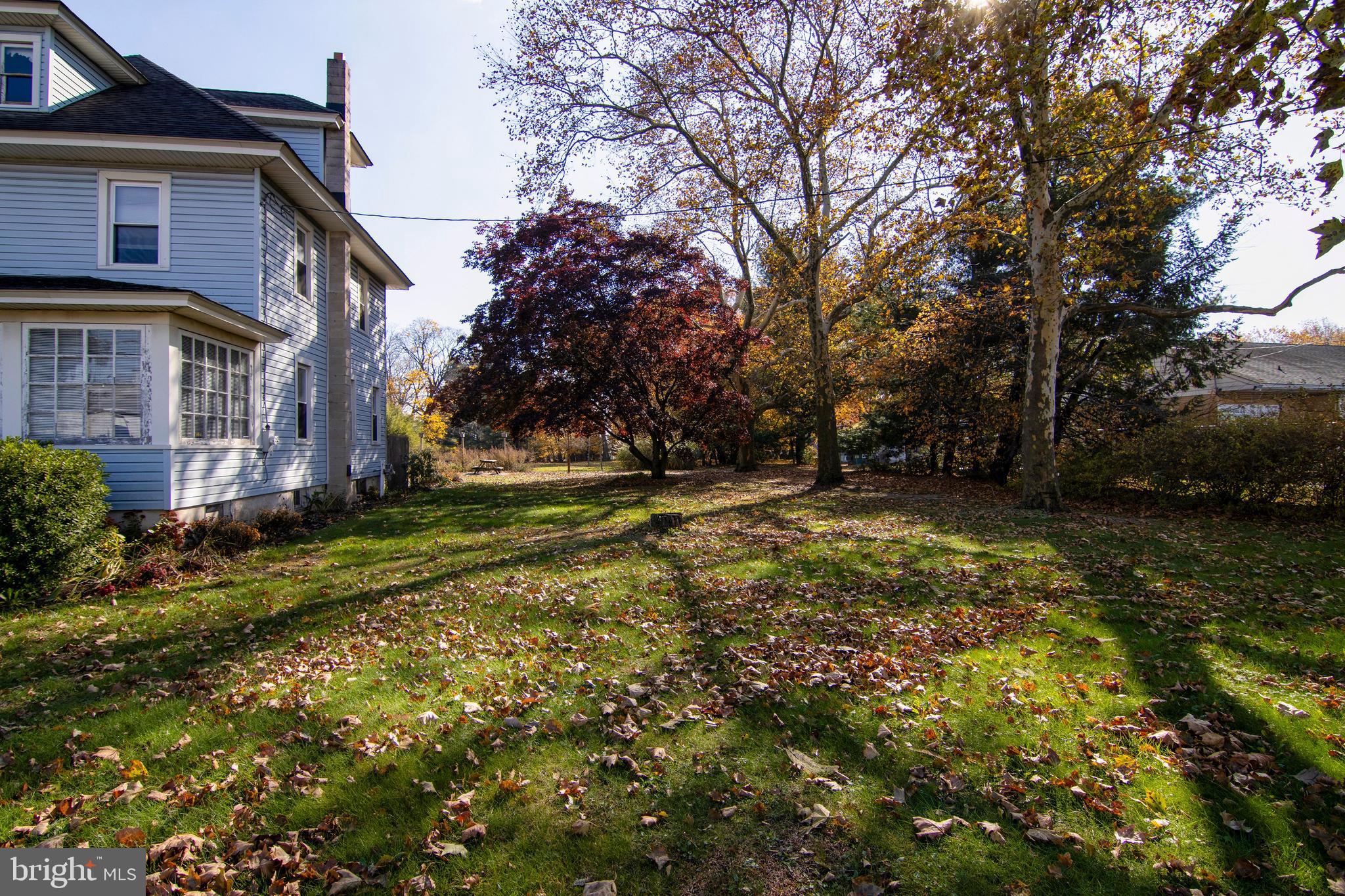 546 Williamstown Road Sicklerville, NJ 08081 - Photo 4 of 44 a view of yard with green space