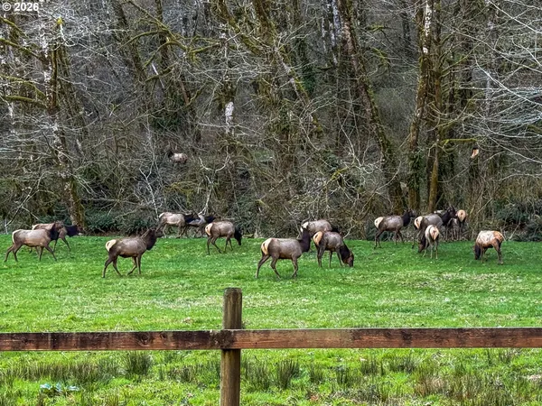 $499,000 | 26903 Trask River Road, Tillamook, OR 97141