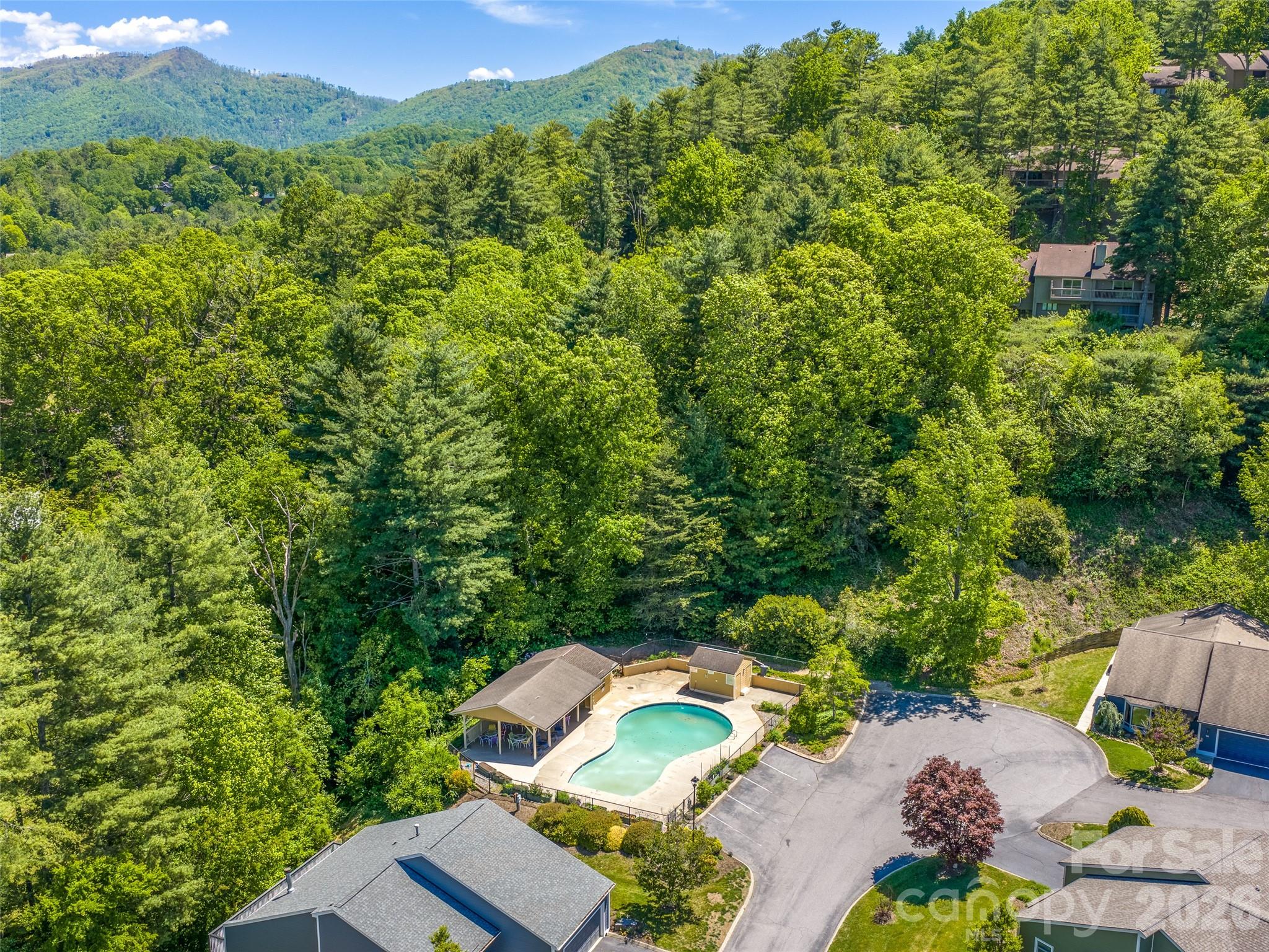 101 Beaver Ridge Road Asheville, NC 28804 - Photo 46 of 48