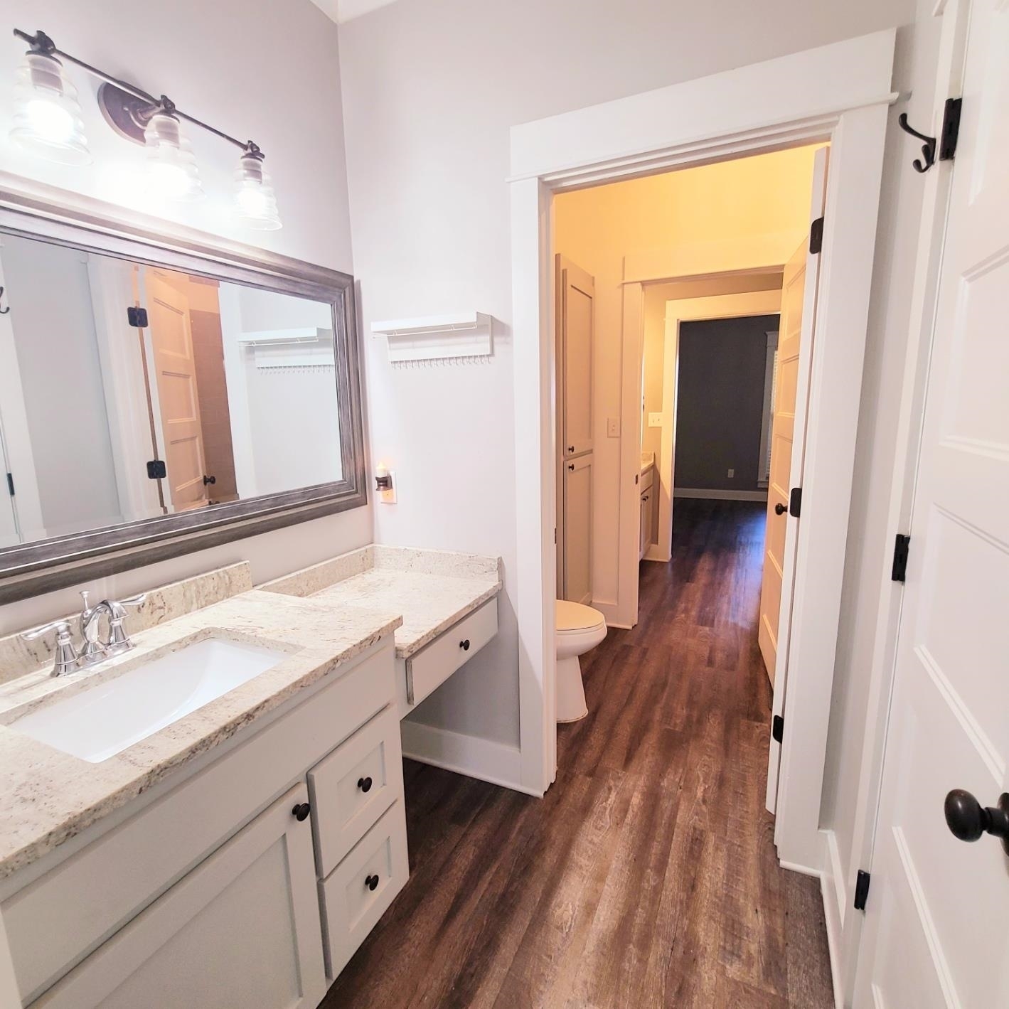 10051 Blackwell Nursery Road Semmes, AL 36575 - Photo 33 of 54 Bathroom with vanity and dark wood-style flooring