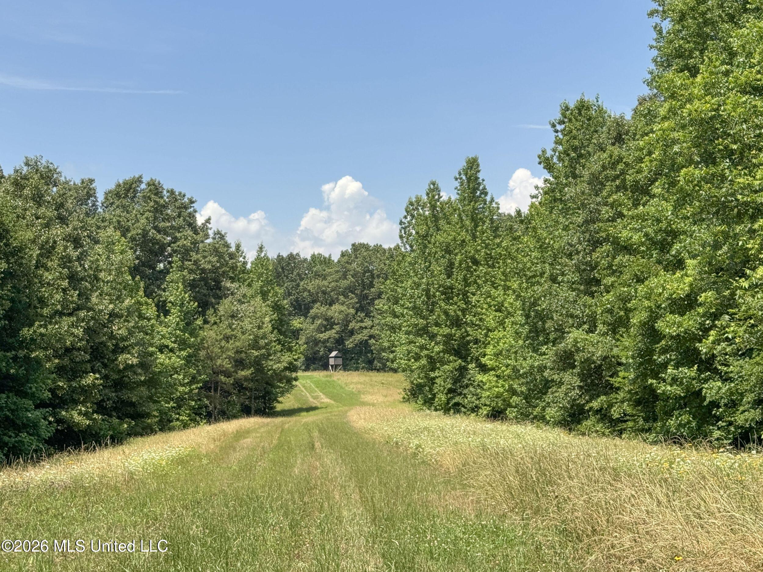 884 Avant Road Crenshaw, MS 38621 - Photo 140 of 154 6dbyicr93