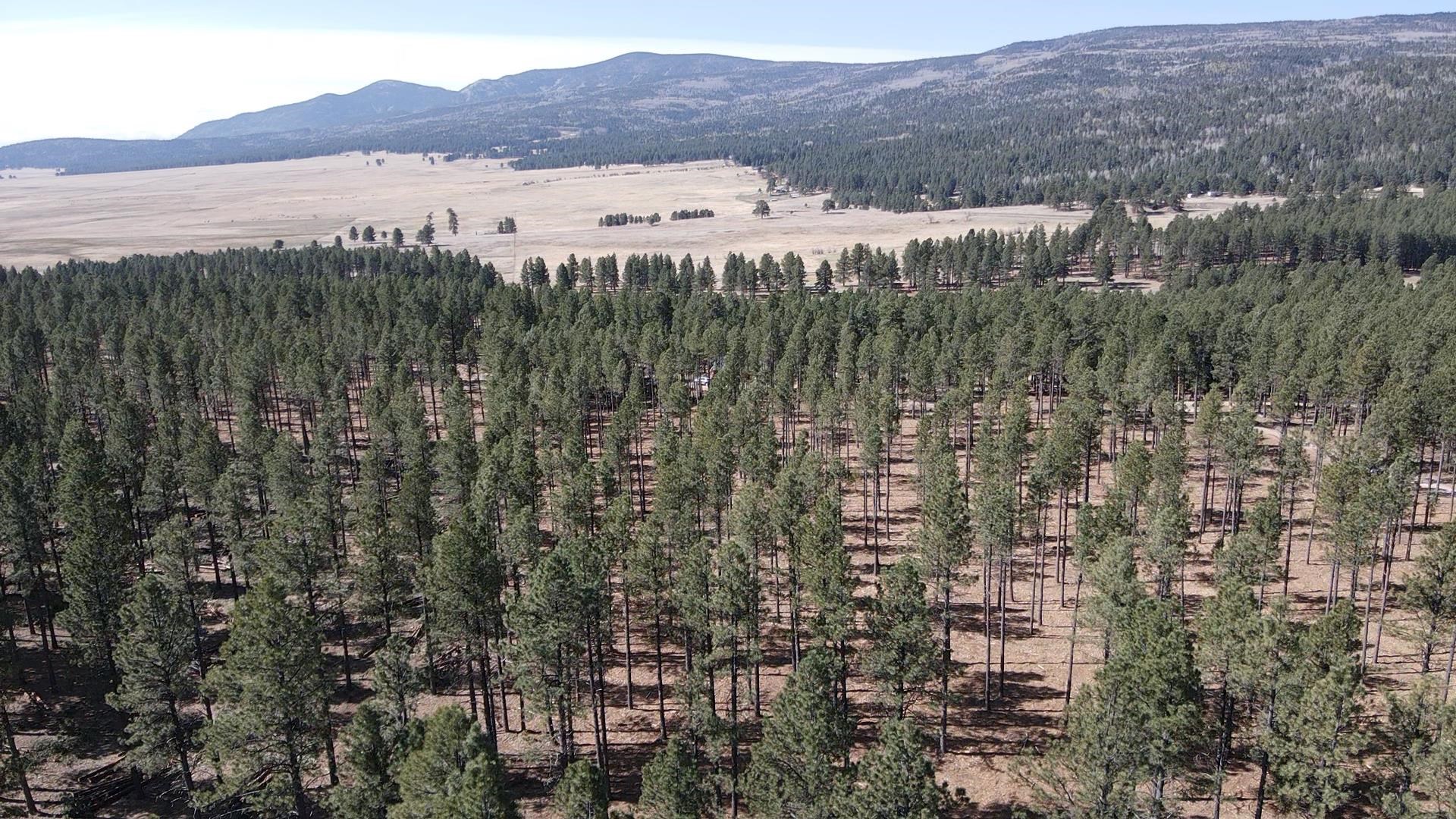 Lot 3 Corner Park Road Angel Fire, NM 87710 - Photo 14 of 14 Gallery Image 14
