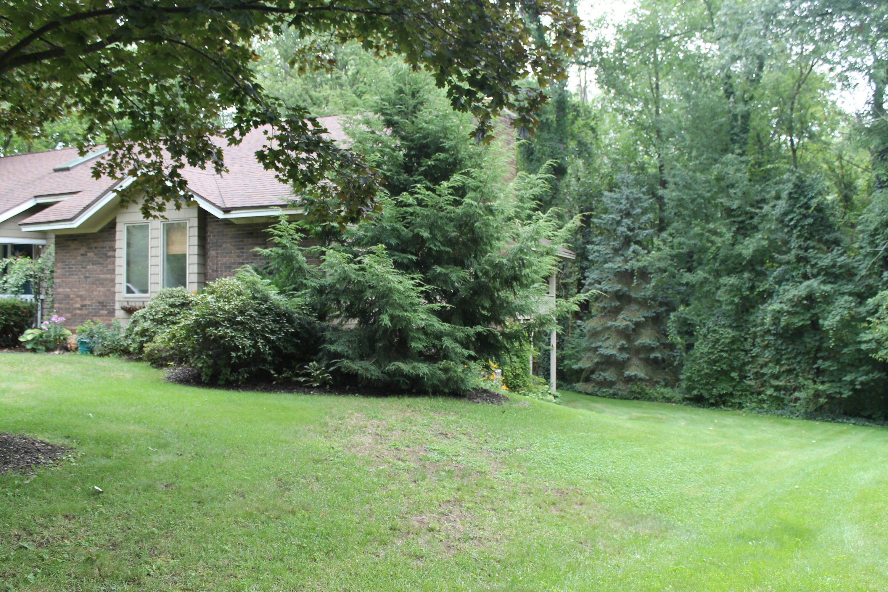 448 Riley Street Holland, MI 49424 - Photo 21 of 23 IMG_9402