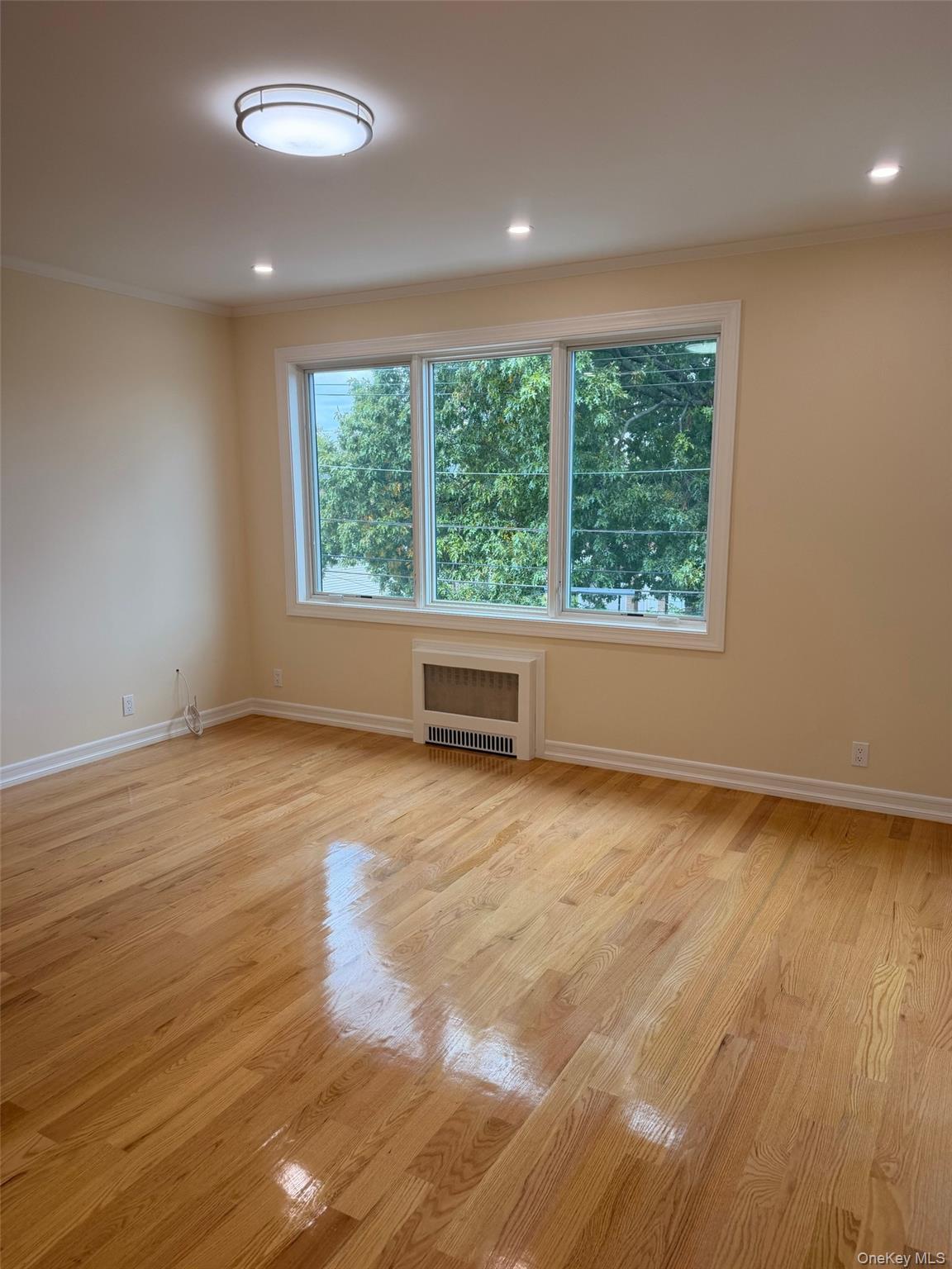 164-16 75th Road, Unit 2 Queens, NY 11366 - Photo 3 of 15 Gallery Image 3