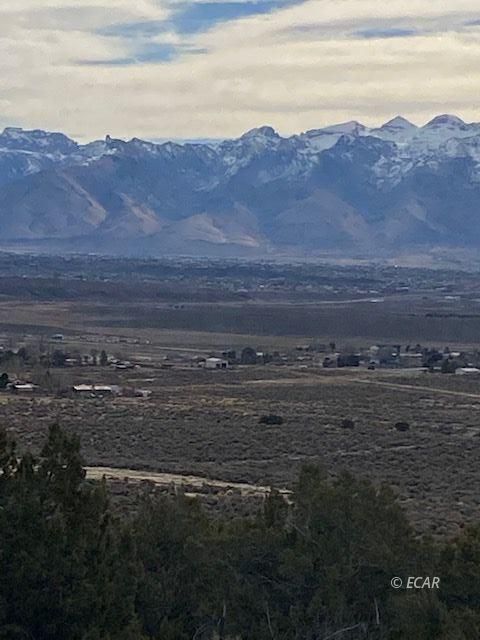 Karval Drive Dr Spring Creek Spring Creek, NV 89815 - Photo 4 of 9