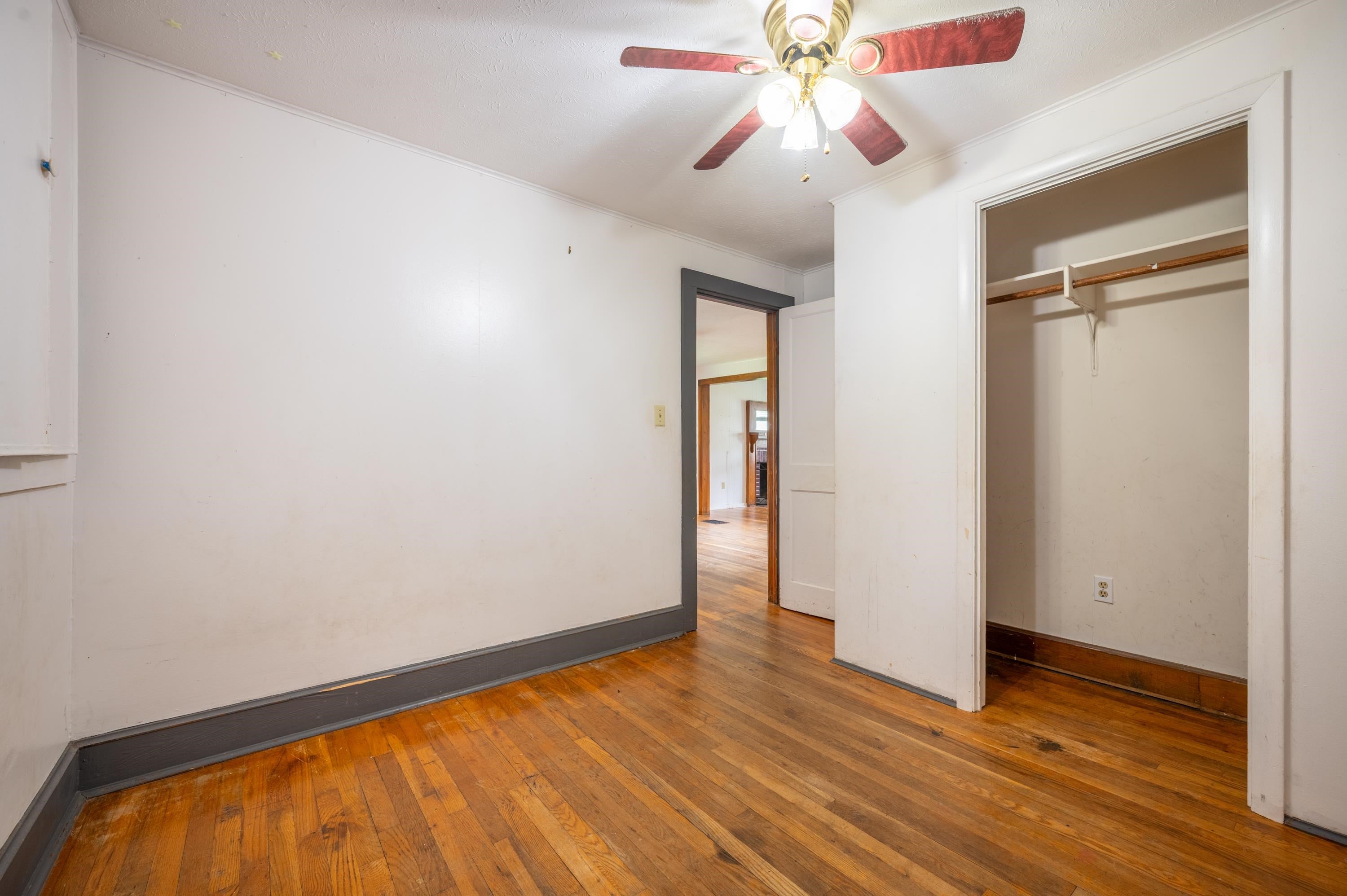 527 Reed Street Damascus, VA 24236 - Photo 38 of 74 Gallery Image 38