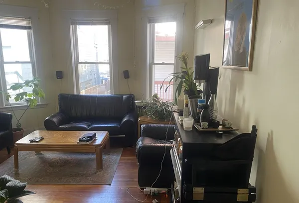 a living room with furniture and a potted plant