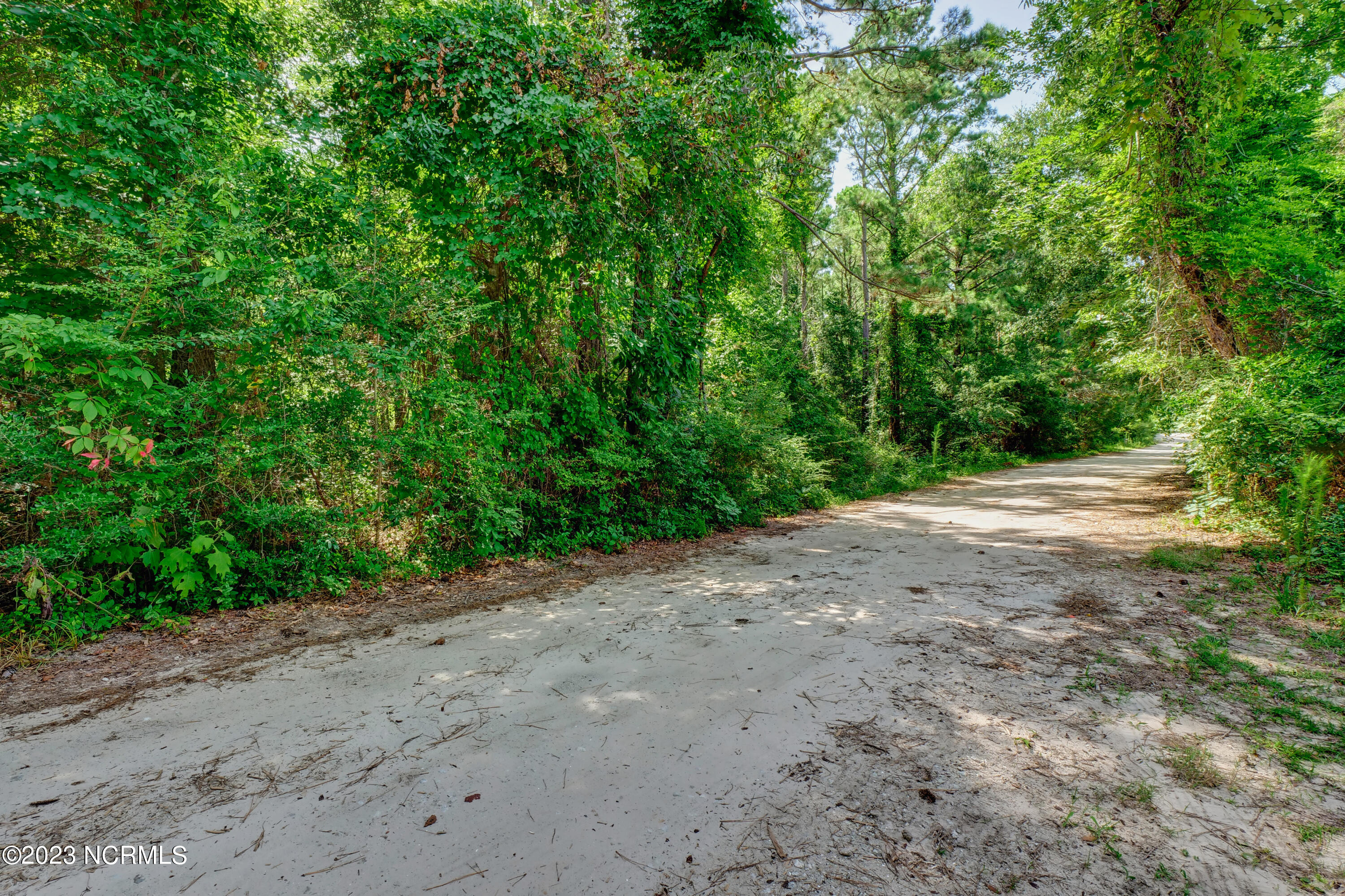 118 Riley Lewis Road Sneads Ferry, NC 28460 - Photo 2 of 16 P1122677_78_79_80_81