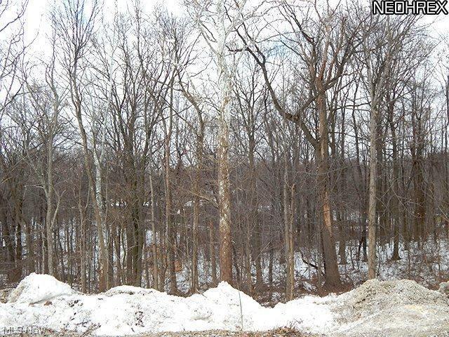 1406 State Road Hinckley, OH 44233 - Photo 16 of 17 Gallery Image 16
