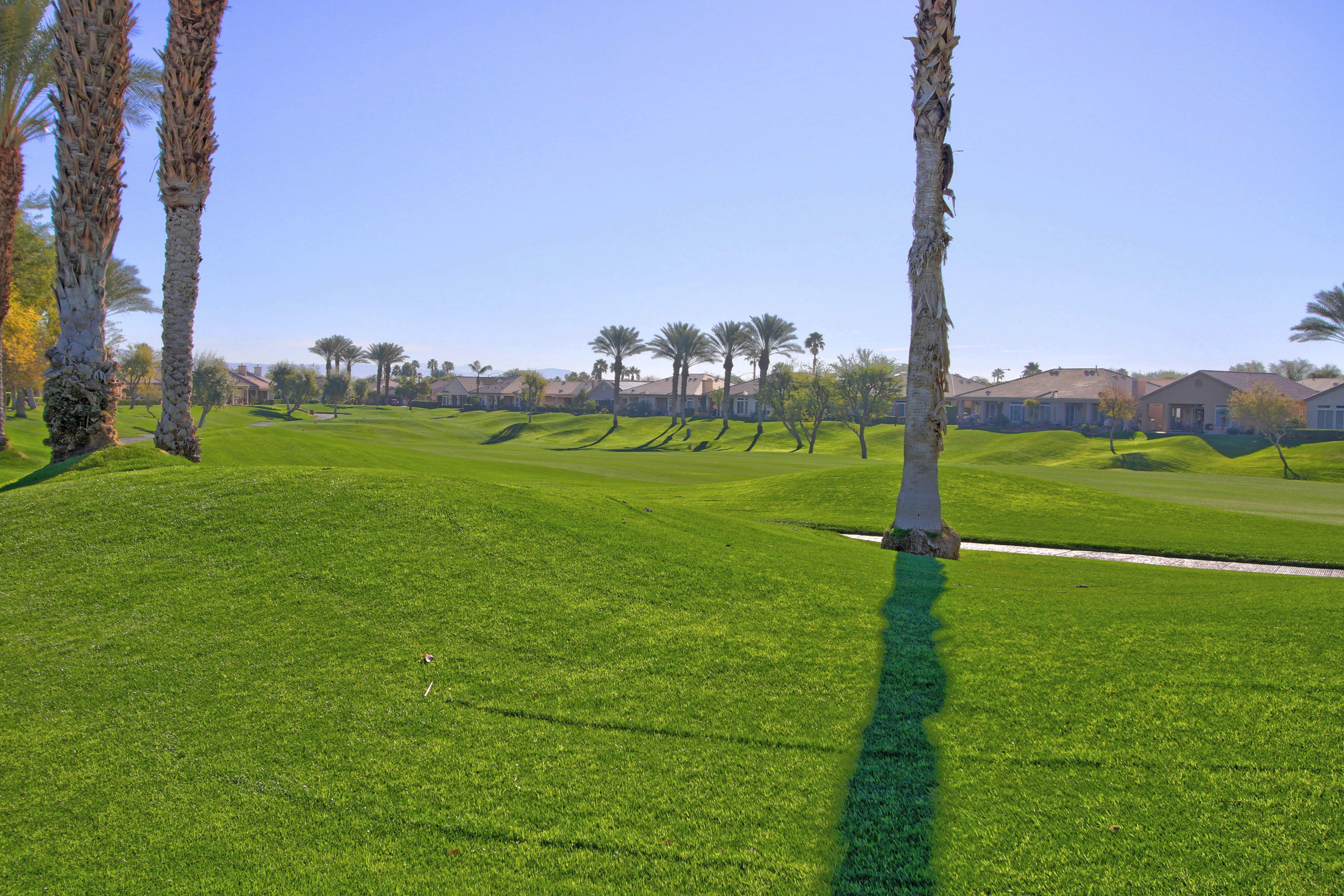 44530 Knightswood Road Indio, CA 92201 - Photo 27 of 38 a view of a field with a tree in the background