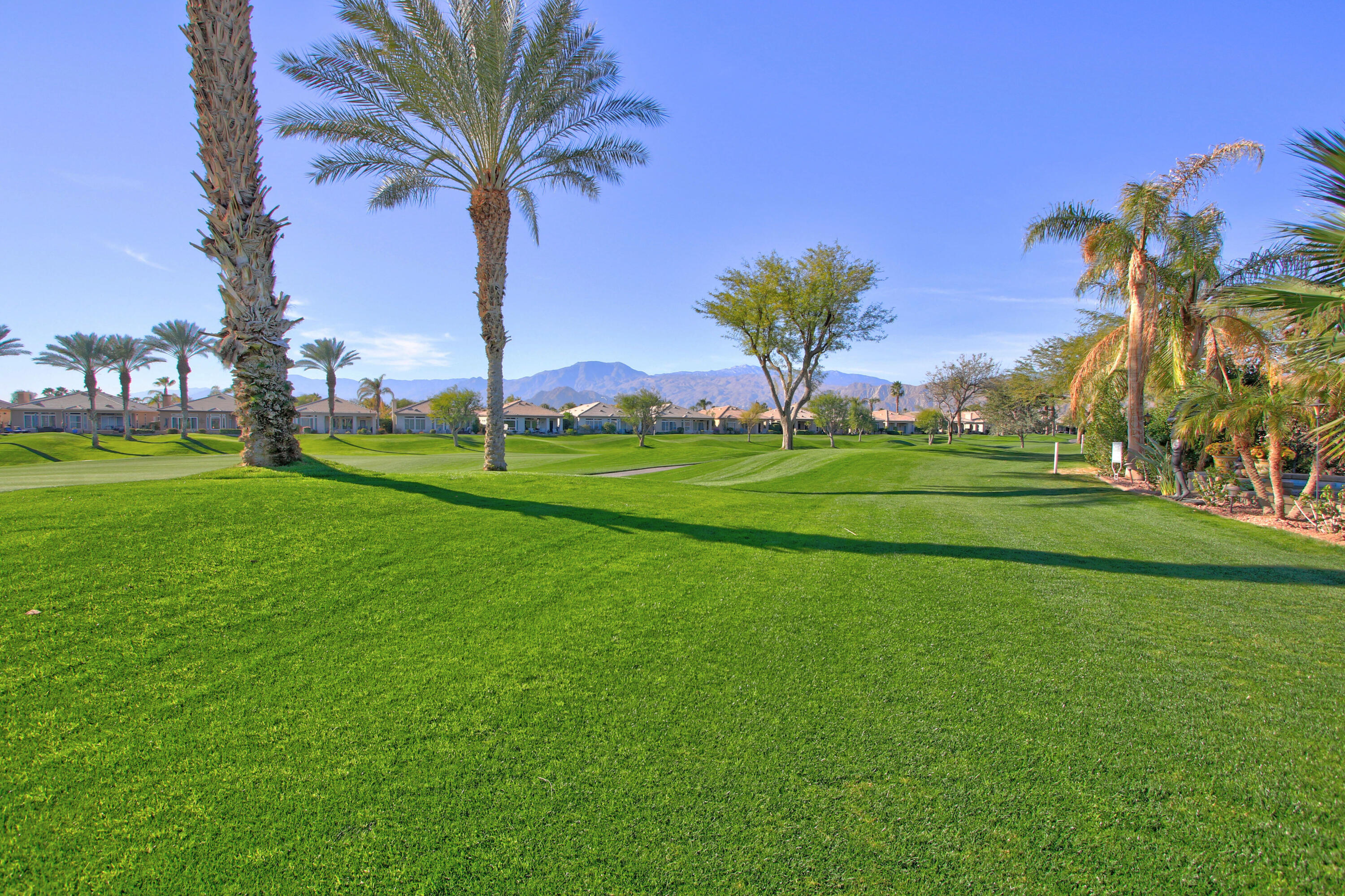 44530 Knightswood Road Indio, CA 92201 - Photo 29 of 38 a view of a park and trees