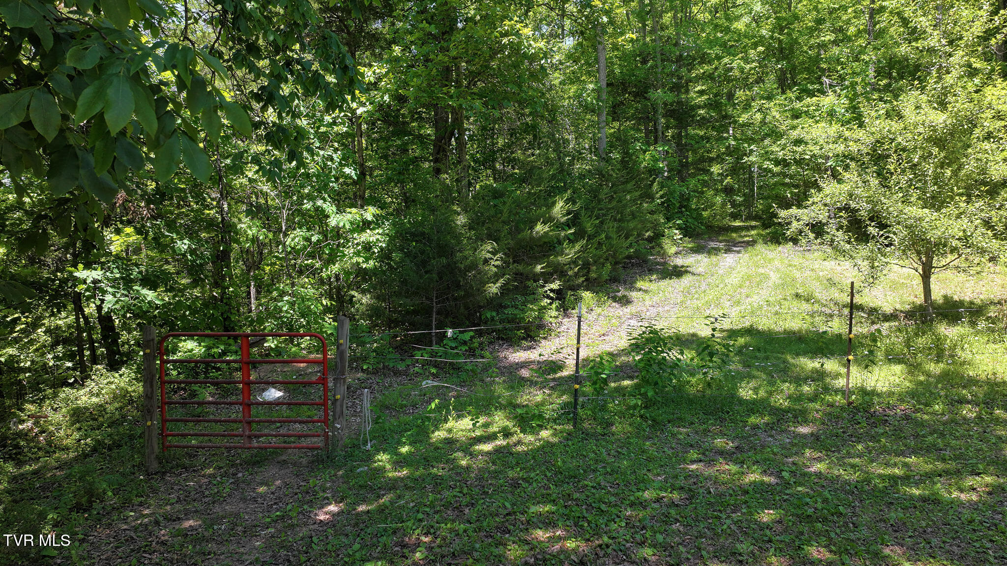 1475 Davis Valley Road Afton, TN 37616 - Photo 34 of 67 34