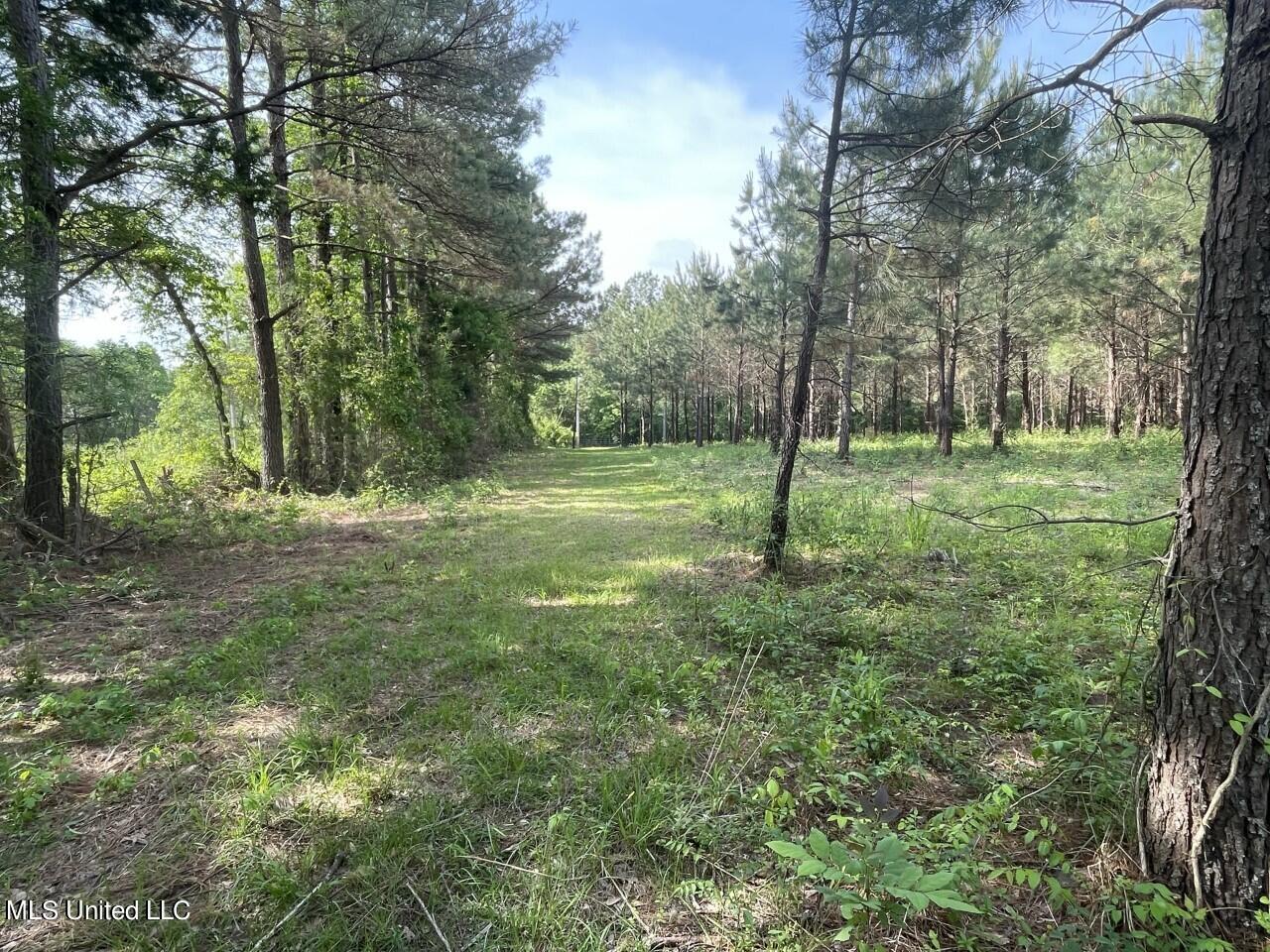 0 Lone Pine Road Canton, MS 39046 - Photo 12 of 17 thumbnail_IMG_4505