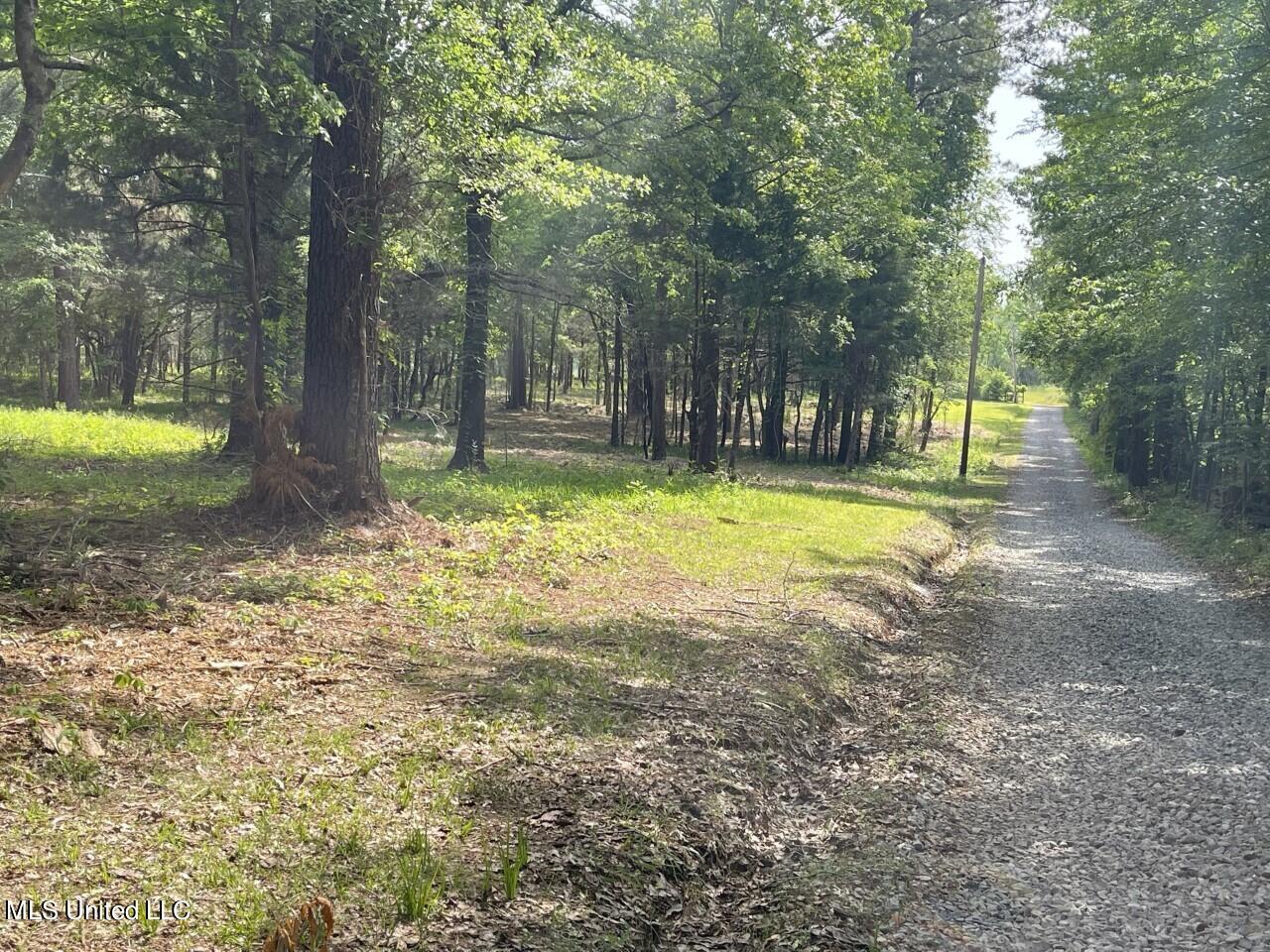 0 Lone Pine Road Canton, MS 39046 - Photo 14 of 17 thumbnail_IMG_4510