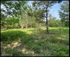0 Lone Pine Road Canton, MS 39046 - Photo 3 of 17 Picture4
