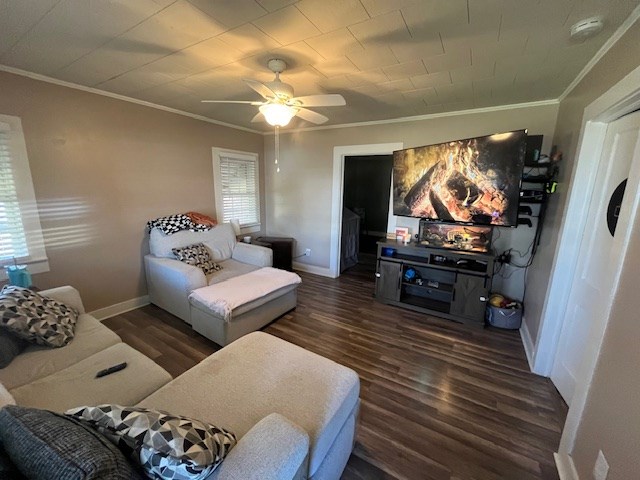 5663 Highway 252 Donalds, SC 29638 - Photo 2 of 11