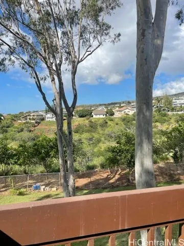 a view of a tree in a yard