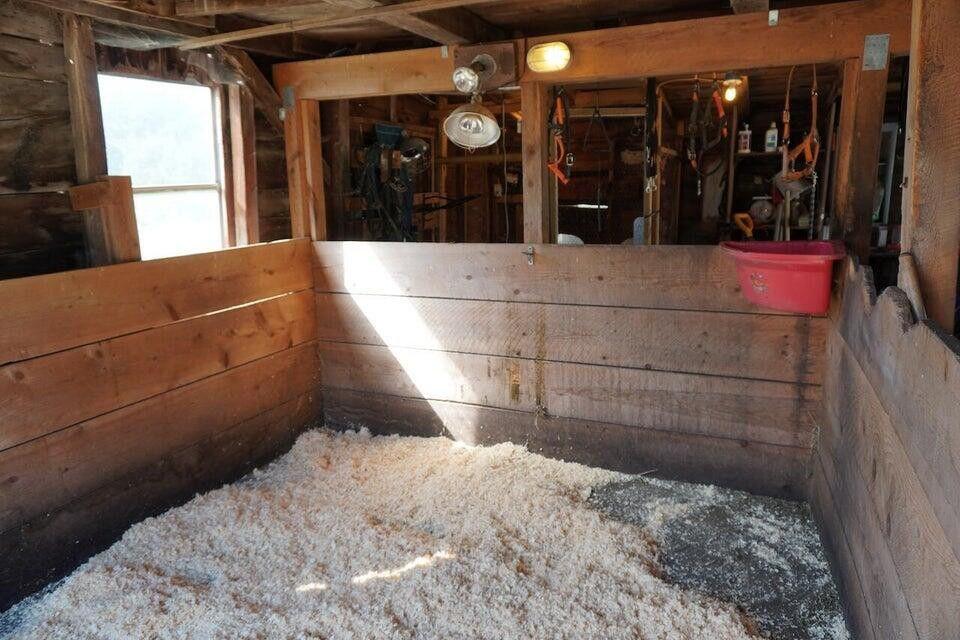 37 Quaker Ridge Road Casco, ME 04015 - Photo 43 of 57 20250807181823216299000000-o