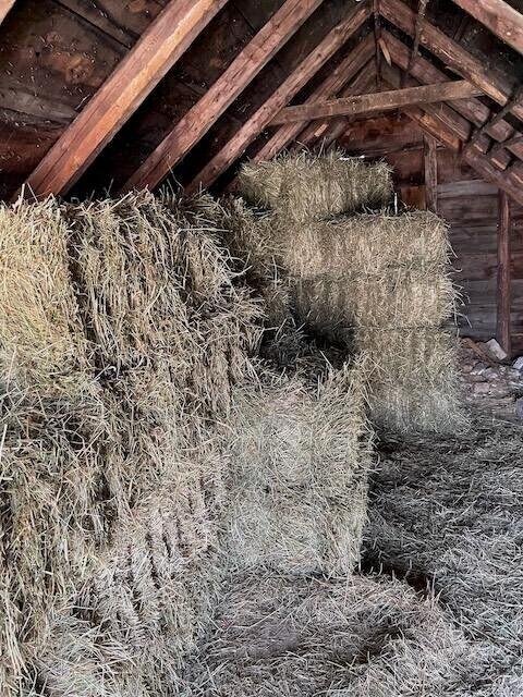 37 Quaker Ridge Road Casco, ME 04015 - Photo 44 of 57 20250807181821871309000000-o