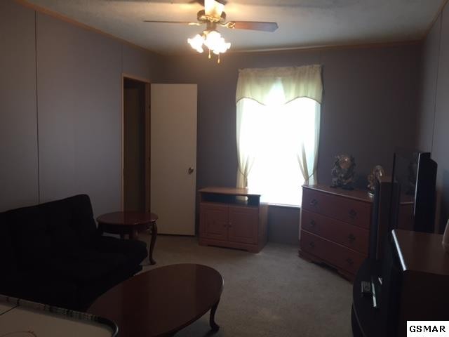 30033005 Knob Creek Road Bybee, TN 37713 - Photo 9 of 23 Gallery Image 9