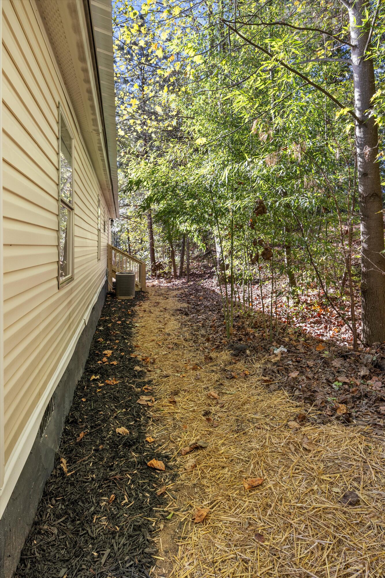 483 Cobb Road Chatsworth, GA 30705 - Photo 24 of 24 24-090A2255