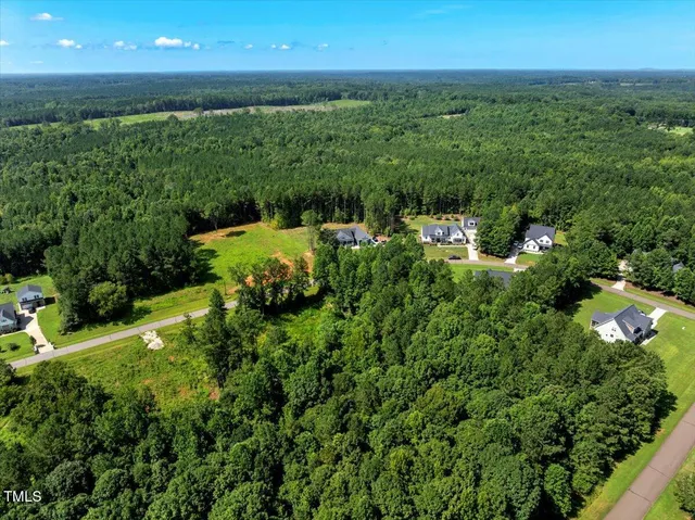 a view of a garden with an outdoor space