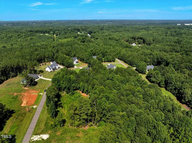 a view of a city with lush green forest