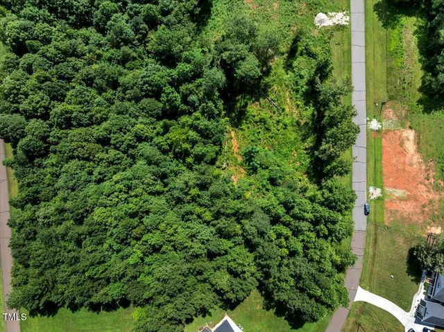 an outdoor view of green landscape with trees