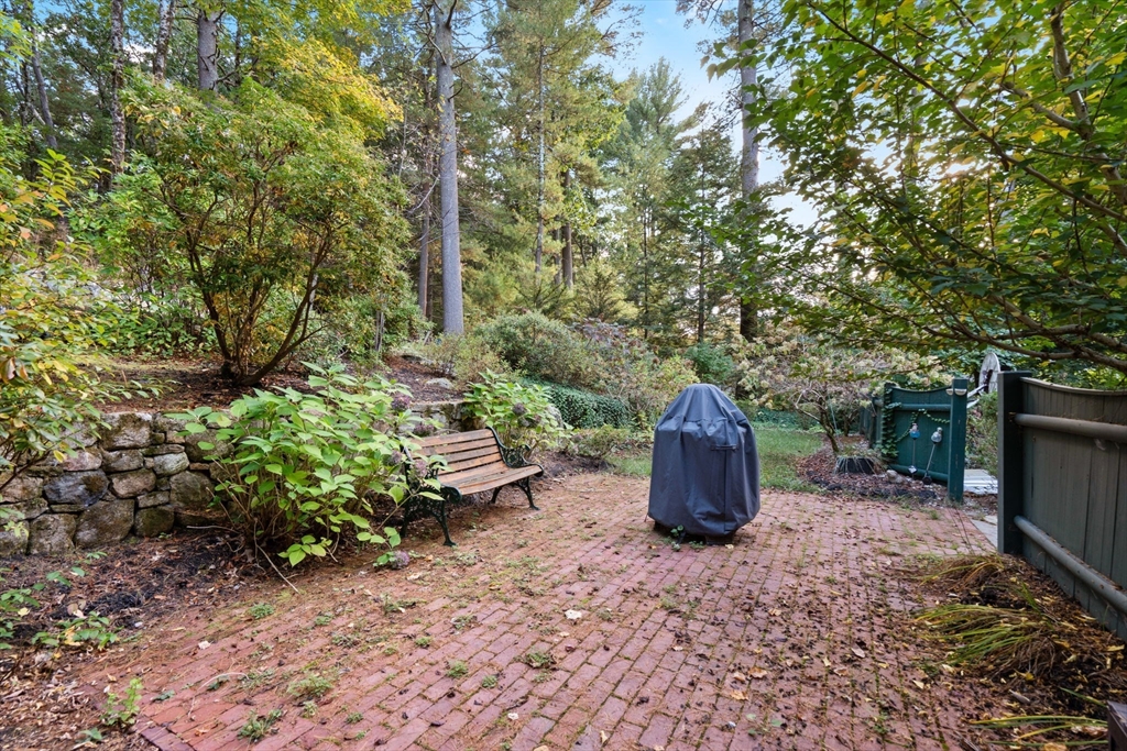 61 Silver Hill Road Weston, MA 02493 - Photo 30 of 39 a view of a garden with plants