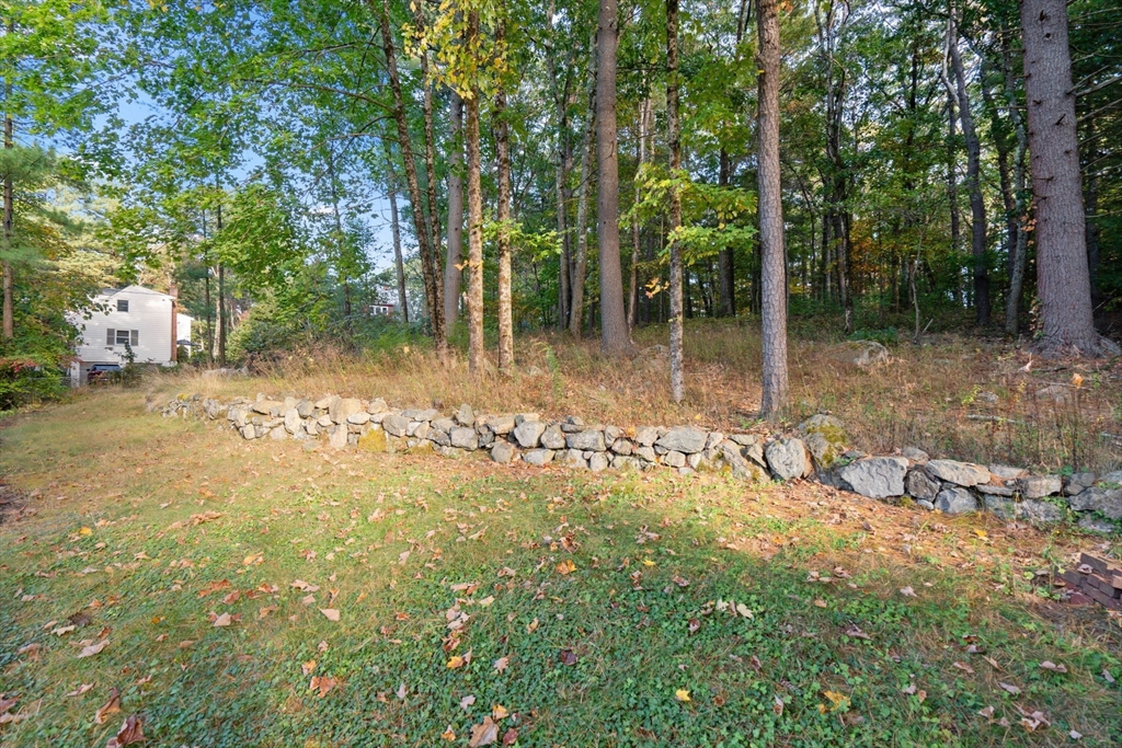 61 Silver Hill Road Weston, MA 02493 - Photo 32 of 39 a view of a yard with large trees