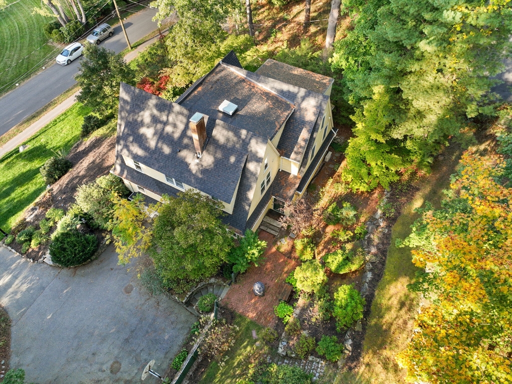 61 Silver Hill Road Weston, MA 02493 - Photo 36 of 39 a view of a tree in a garden