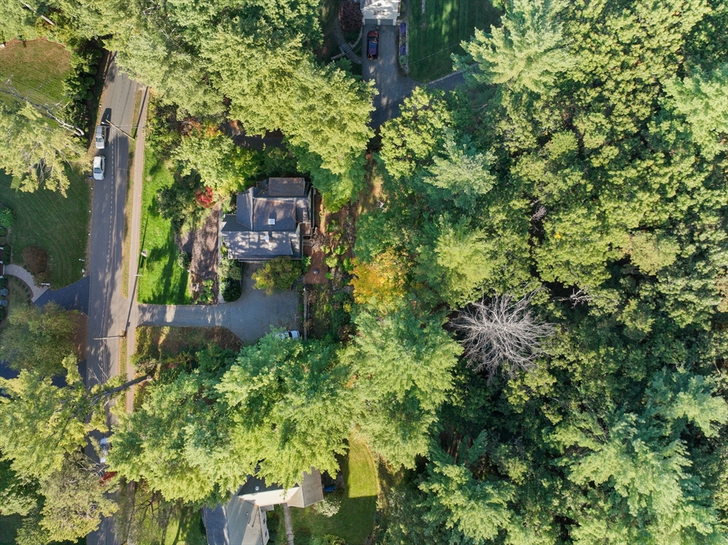 61 Silver Hill Road Weston, MA 02493 - Photo 37 of 39 a view of a garden with plants