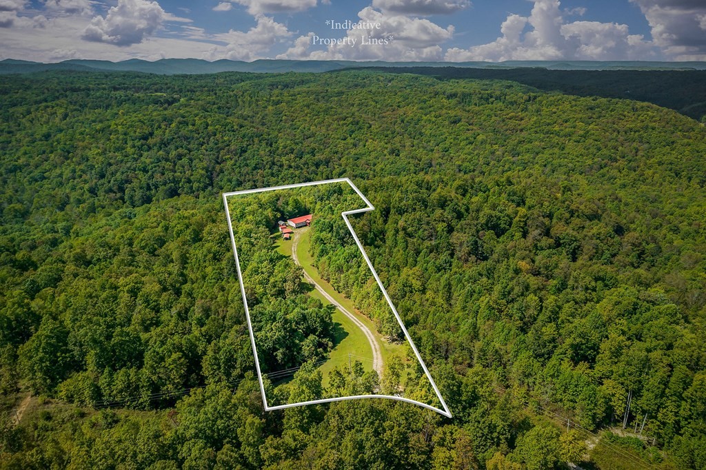 30211 White Oak Road Crawford, TN 38554 - Photo 21 of 24 a view of a backyard