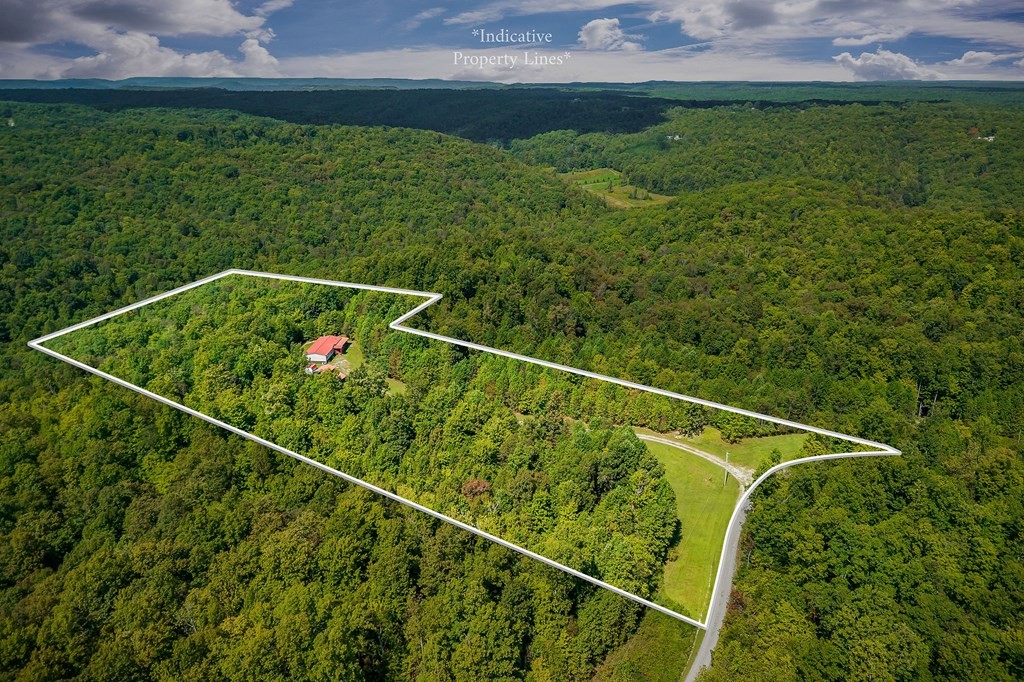 30211 White Oak Road Crawford, TN 38554 - Photo 22 of 24 a view of a tennis court